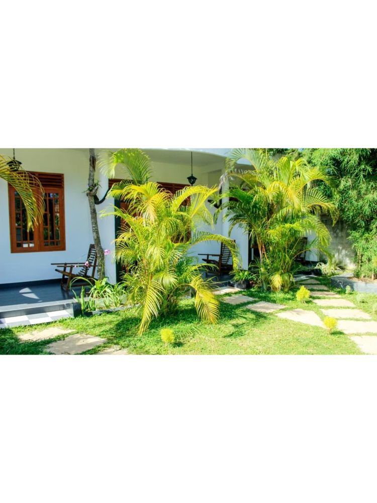 Orchid Rest Hotel Mirissa Exterior foto